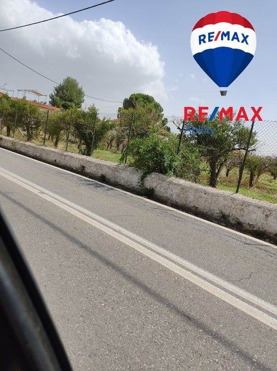 (For Sale) Land Plot || Lakonia/Mystras - 1.064 Sq.m, 60.000€ 