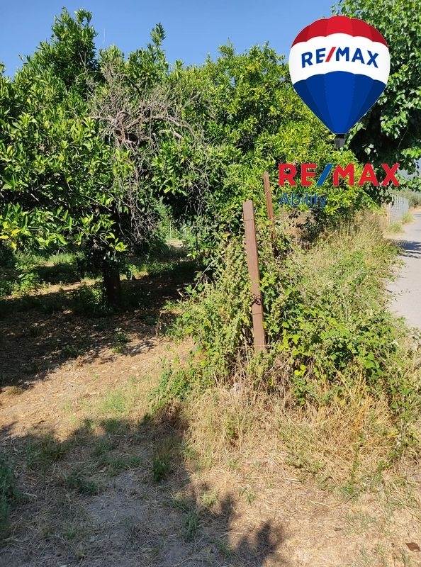(For Sale) Land Agricultural Land  || Lakonia/Sparti - 2.880 Sq.m, 15.000€ 