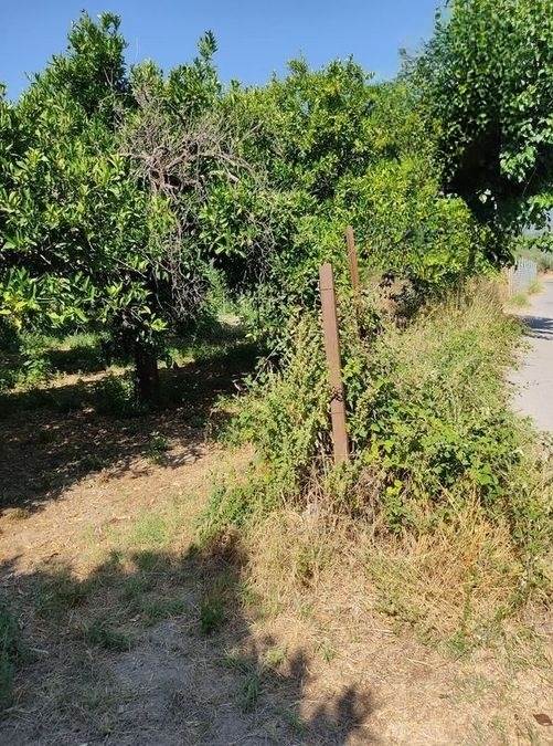 (For Sale) Land Agricultural Land  || Lakonia/Sparti - 2.880 Sq.m, 15.000€ 