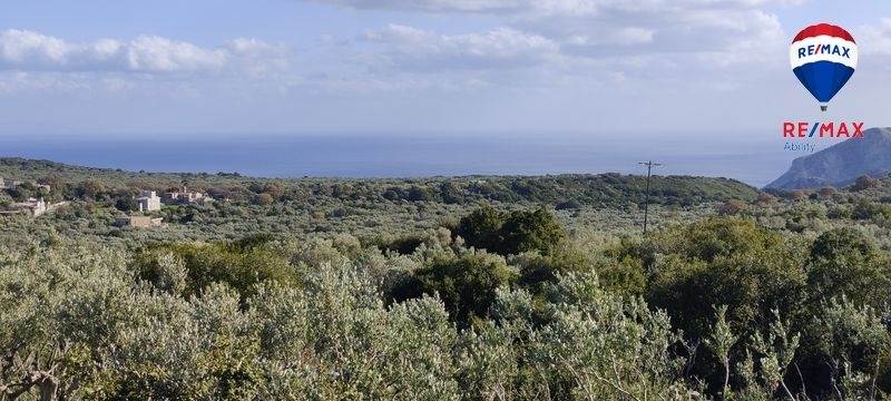 (For Sale) Land Agricultural Land  || Lakonia/East Mani - 7.545 Sq.m, 180.000€ 