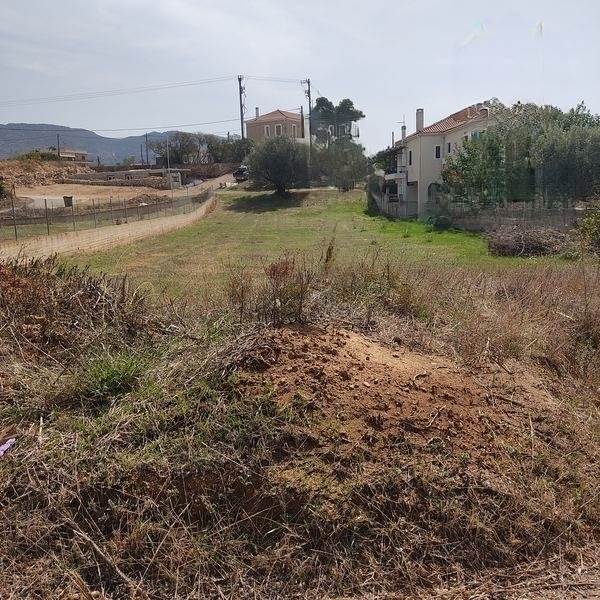 (For Sale) Land Plot || Lakonia/Asopos - 1.230 Sq.m, 80.000€ 