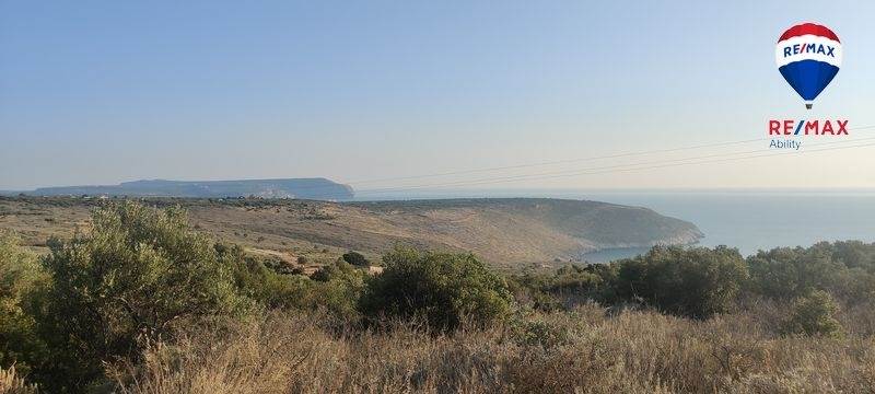 (For Sale) Land Agricultural Land  || Lakonia/Oitylo - 9.570 Sq.m, 95.000€ 