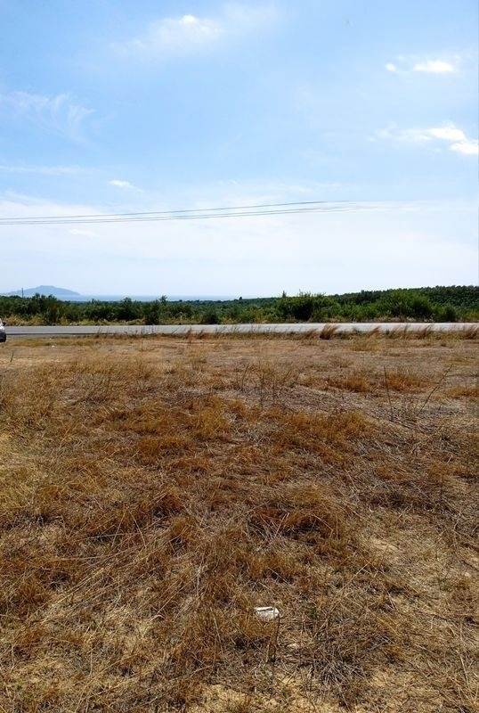 (For Sale) Land Plot || Lakonia/Elos - 8.500 Sq.m, 120.000€ 