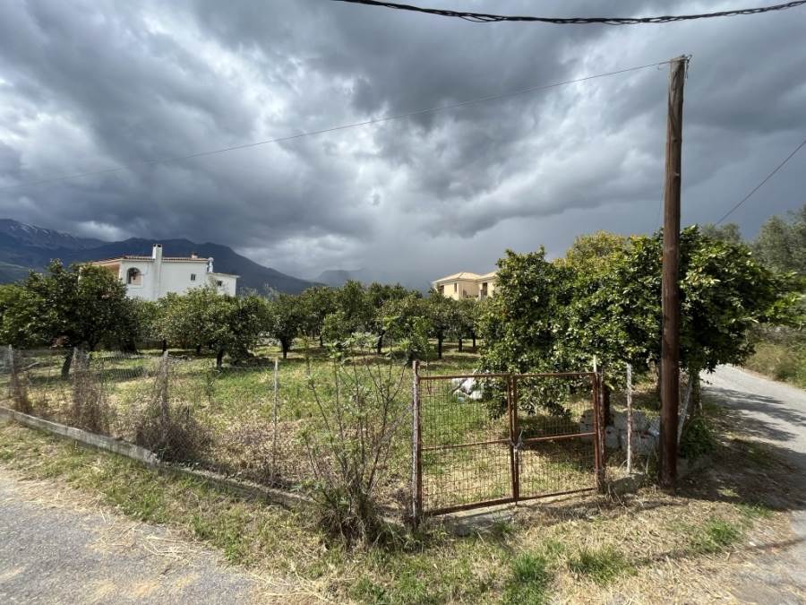 (Προς Πώληση) Αξιοποιήσιμη Γη Οικόπεδο || Ν. Λακωνίας/Σπάρτη - 1.010 τ.μ, 40.000€ 