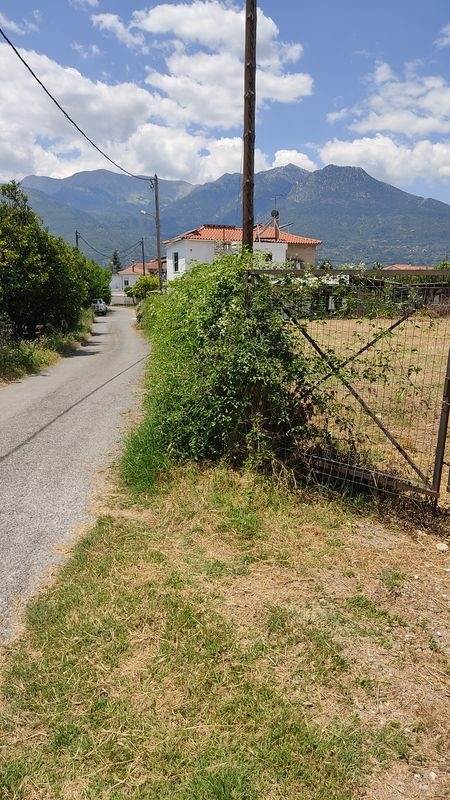 (For Sale) Land Plot || Lakonia/Mystras - 1.243 Sq.m, 55.000€ 