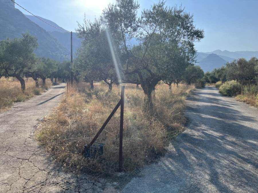 (Προς Πώληση) Αξιοποιήσιμη Γη Οικόπεδο || Ν. Λακωνίας/Μυστράς - 8.000 τ.μ, 390.000€ 