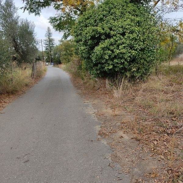 (For Sale) Land Plot || Lakonia/Mystras - 1.670 Sq.m, 48.000€ 