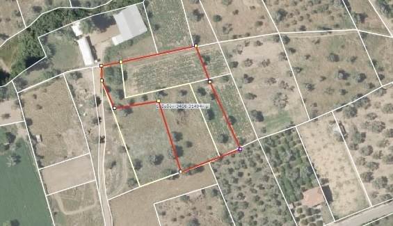 (For Sale) Land Agricultural Land  || Lakonia/Sparti - 7.000 Sq.m, 70.000€ 