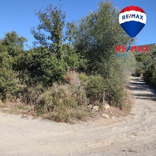 (For Sale) Land Agricultural Land  || Lakonia/Sparti - 5.400 Sq.m, 8.000€ 
