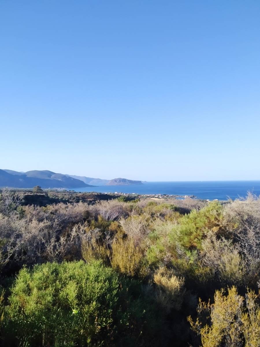 (For Sale) Land Agricultural Land  || Lakonia/Monemvasia - 31.000 Sq.m, 60.000€ 