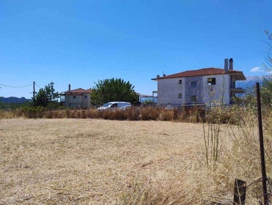 (Προς Πώληση) Αξιοποιήσιμη Γη Οικόπεδο || Ν. Λακωνίας/Σπάρτη - 1.234 τ.μ, 40.000€ 