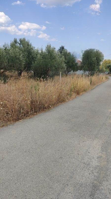 (Προς Πώληση) Αξιοποιήσιμη Γη Οικόπεδο || Ν. Λακωνίας/Σπάρτη - 1.000 τ.μ, 30.000€ 